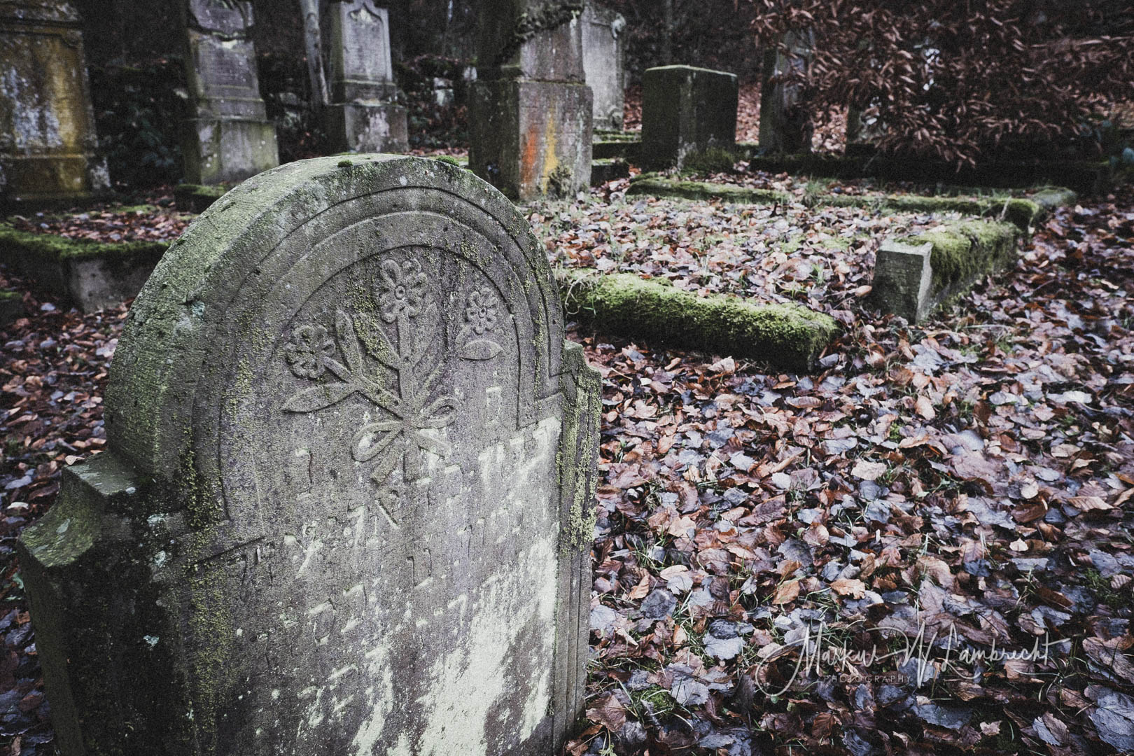 Sievershausen (Dassel), Jüdischer Friedhof